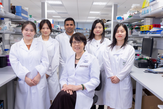 由陳建萍博士（中）領導的研究團隊發現脂肪肝可致乳腺癌惡化。研究成員包括隋月博士（後左二）、Ganesan Kumar博士（後中）及劉青青博士（後右二）。
 